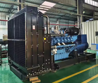 satın al 1800kVA 1440KW Tatmin edici Dinamo LPG Jeneratörü Gaz Jeneratörü Endüstriyel Enerji Tedarikçiliği İçin Doğal Gaz Seti online manufacture
