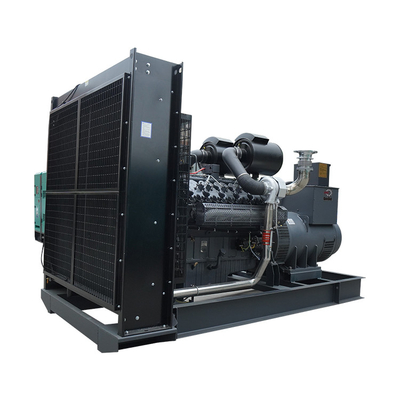 1250kva Leroy Somer Power Dizel Jeneratör 1mw Sabit Jeneratör Seti